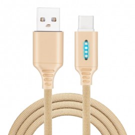 Smart LED Auto Disconnect Charger Nylon Braided Type C 2A Tablet Cable-1M - Black