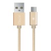 BIAZE 1M USB 3.1 Type C Charging Sync Data Cable for Tablet Cell Phone   - Silver