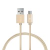 BIAZE 1M USB 3.1 Type C Charging Sync Data Cable for Tablet Cell Phone   - Silver